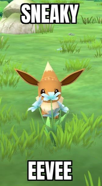 He thought he could hide