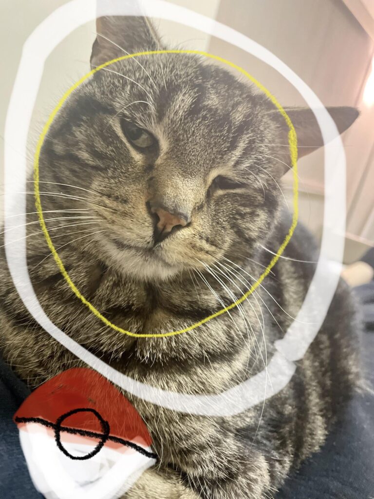 Caught a rare WinkyKitty. Catch rate 1/100000000.