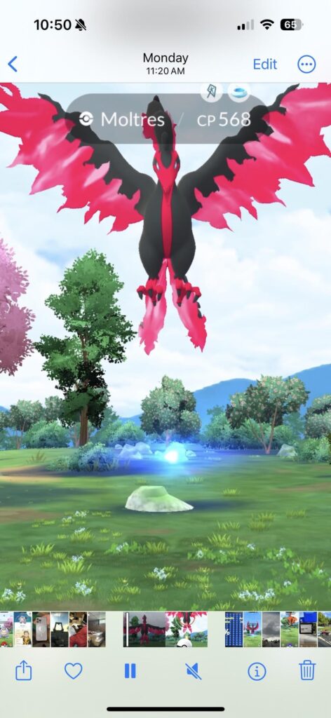 4 Galarian Bird encounters in 5 days