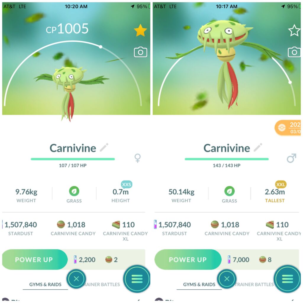 Most cartoonish difference I have between a xxs and xxl