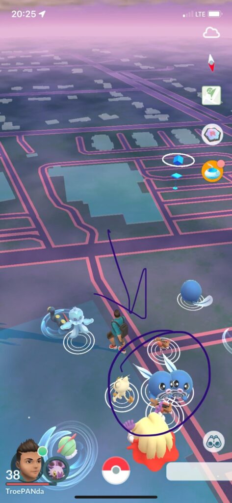 The most elusive Pokémon