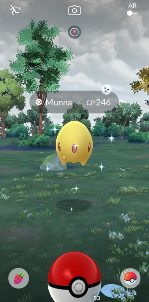 Home Sick Shiny !