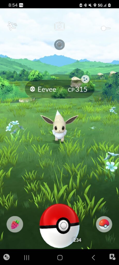 Turned her onto a flareon. 2 shinies from yesterday