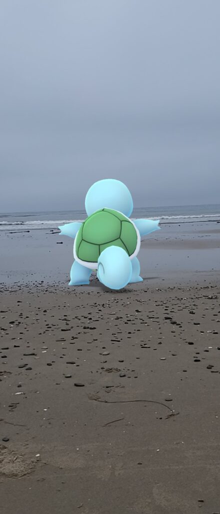 Look at what I found at the beach!!