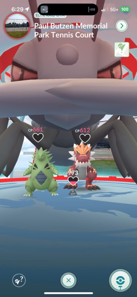 This gym has a serious ant problem