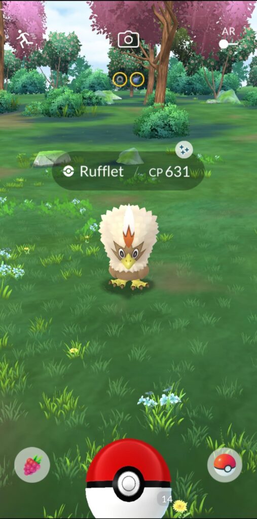 Got the Rufflet I Wanted and More. Which Pokémon Did You Choose?