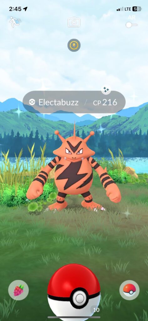 Favorite shiny ever!