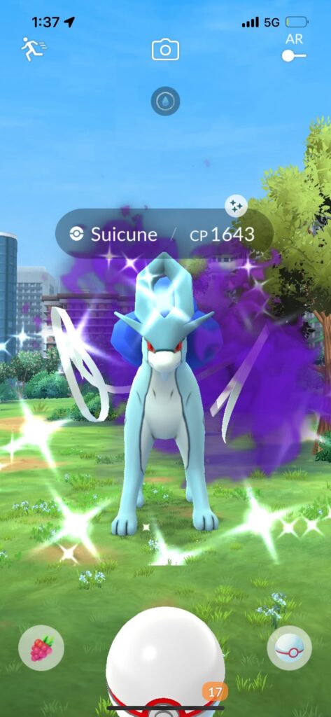 Shadow raid Pokémon sent to the either