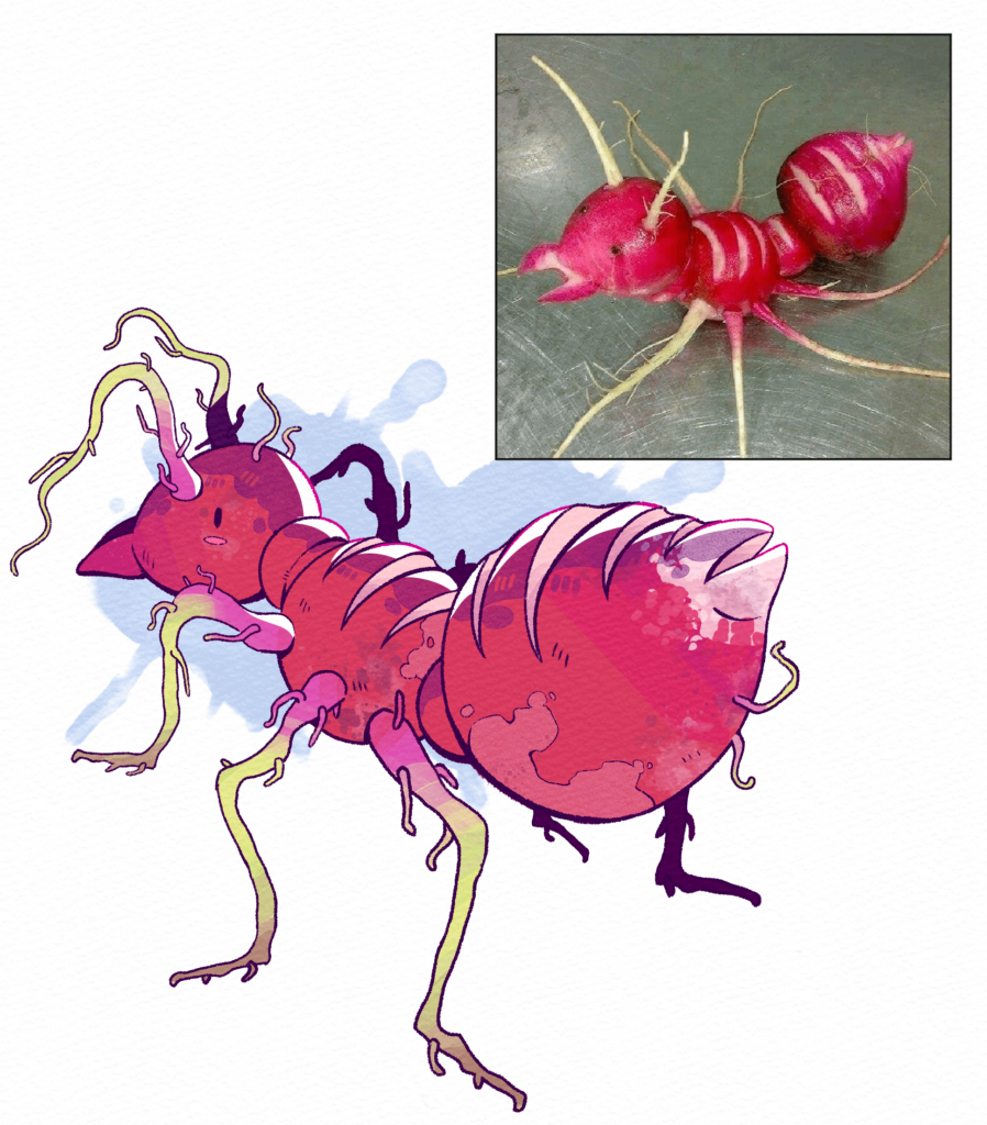 Radish Fakemon