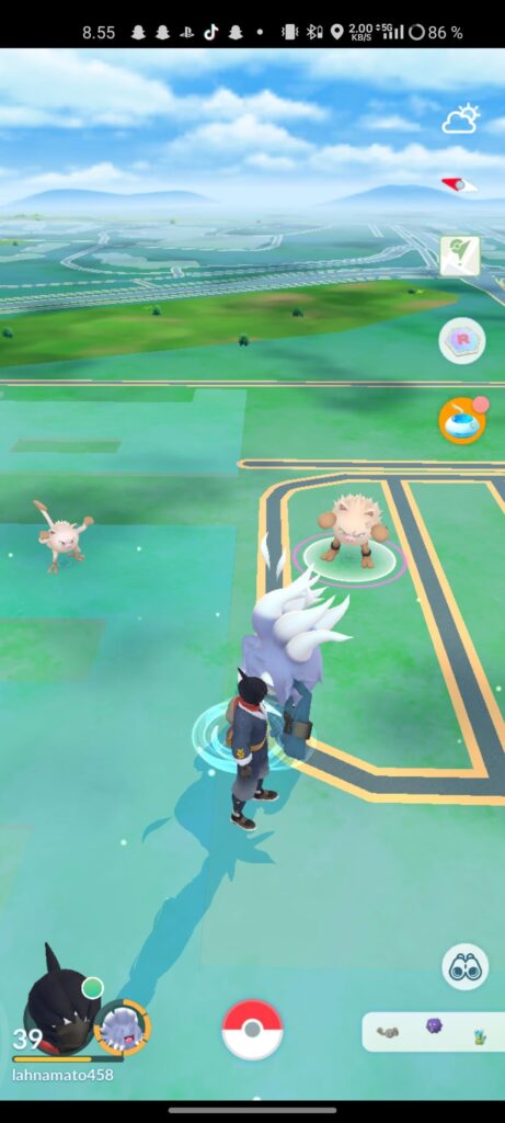 Serious monkey business