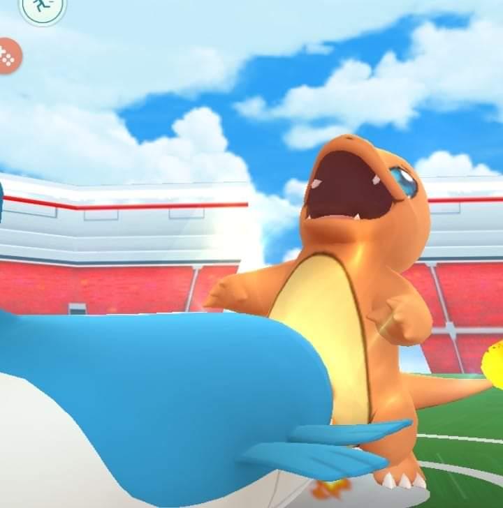 Charmander is enjoying Wailord a little too much...