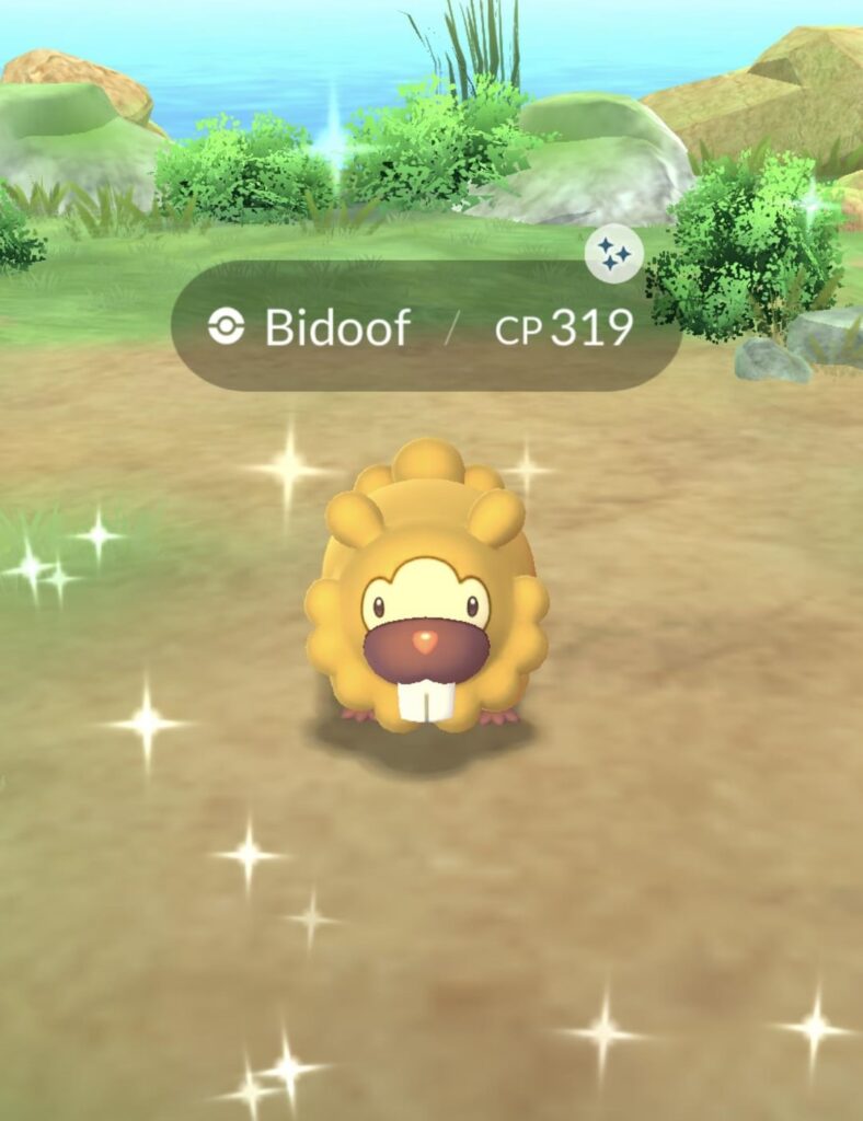 SHINY BIDOOF LETS GOO!!