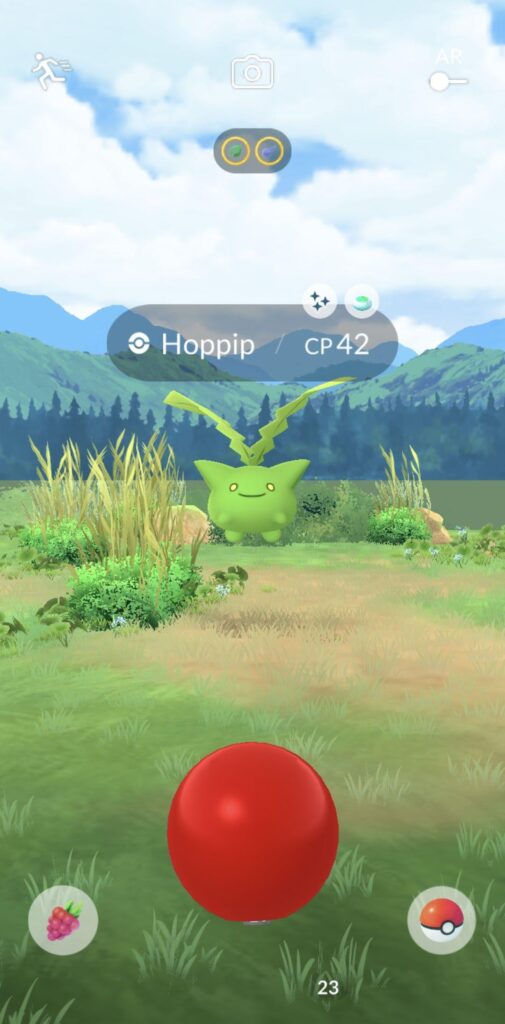 Today was a great day