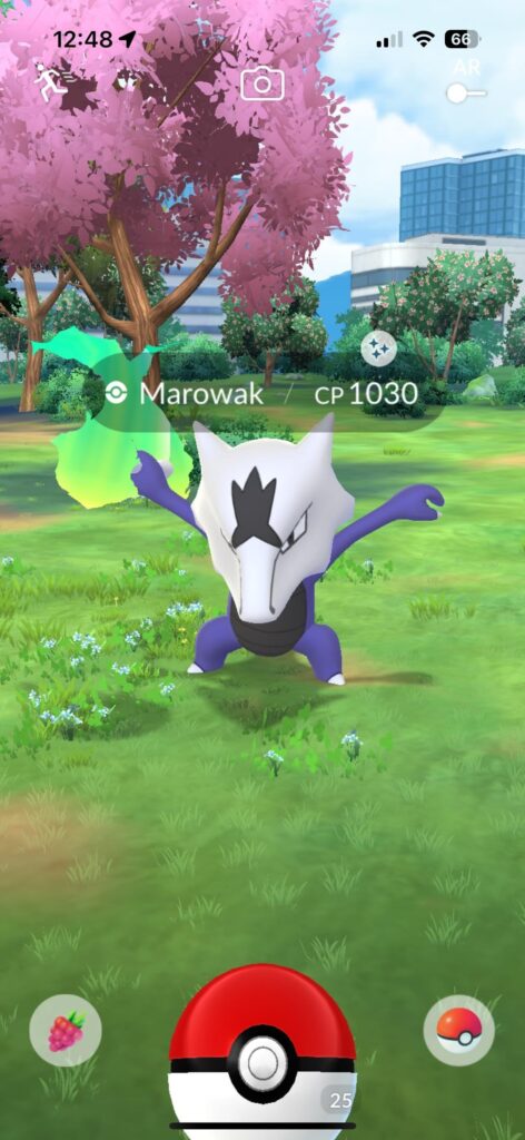 Ayooo first shiny ✨