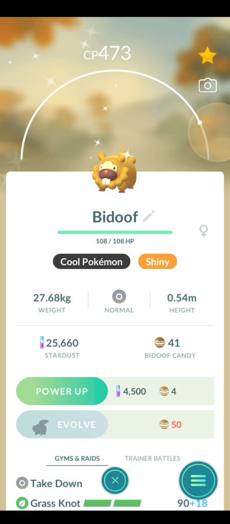 POKEMON GOD! BIDOOF