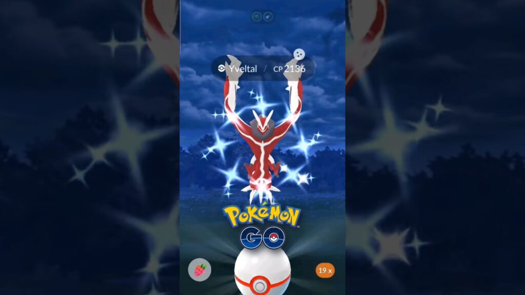 Top Counters for YVELTAL!