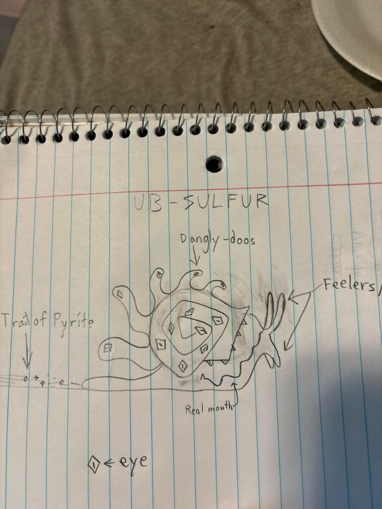 First Time Actually Drawing Them