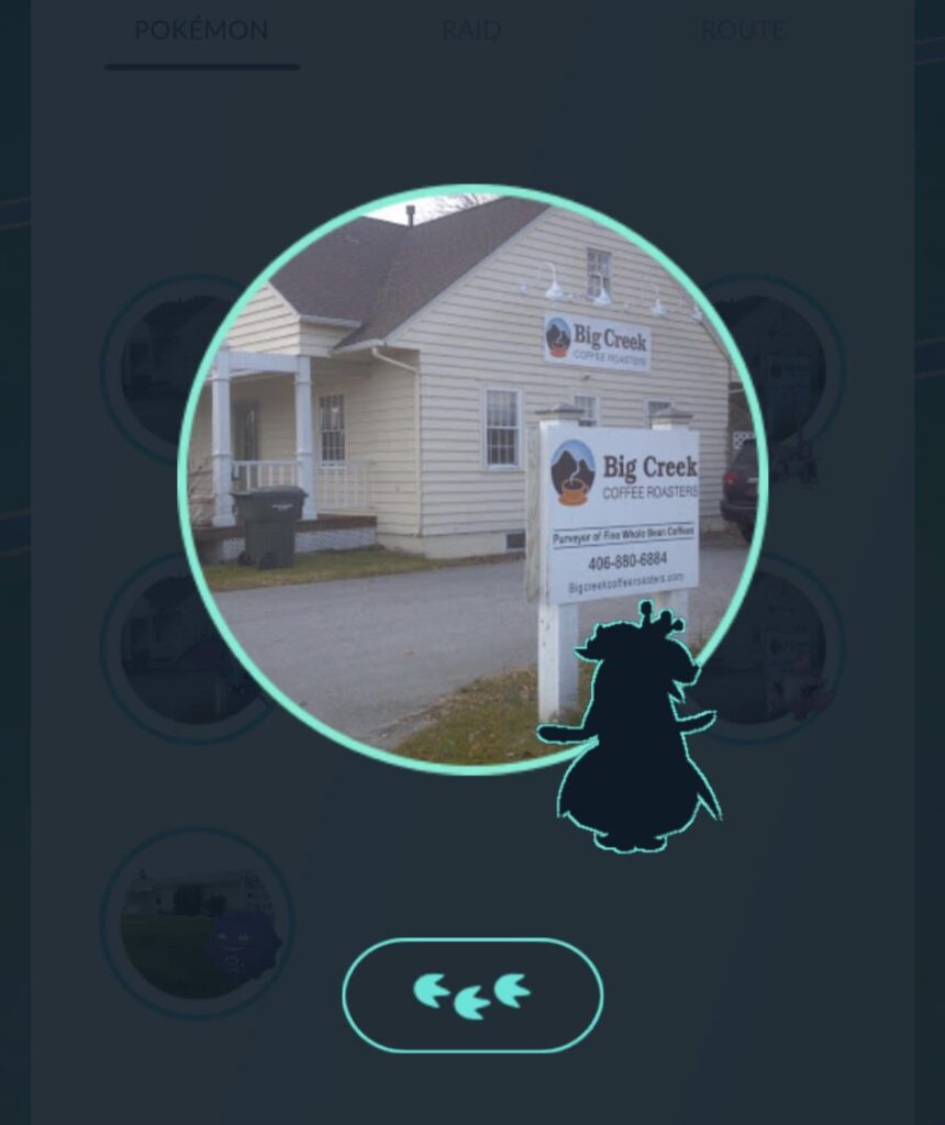 What Pokémon is this?