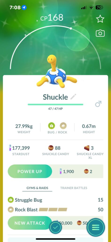 Just caught me a shiny shuckle