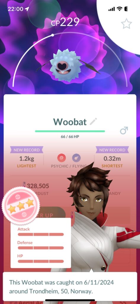 What do you call this?