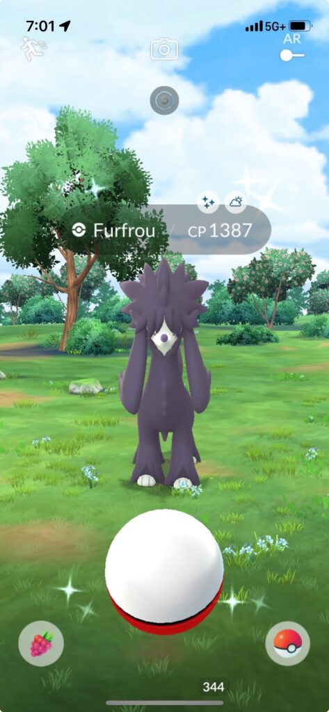 shiny weatherboost furfrou