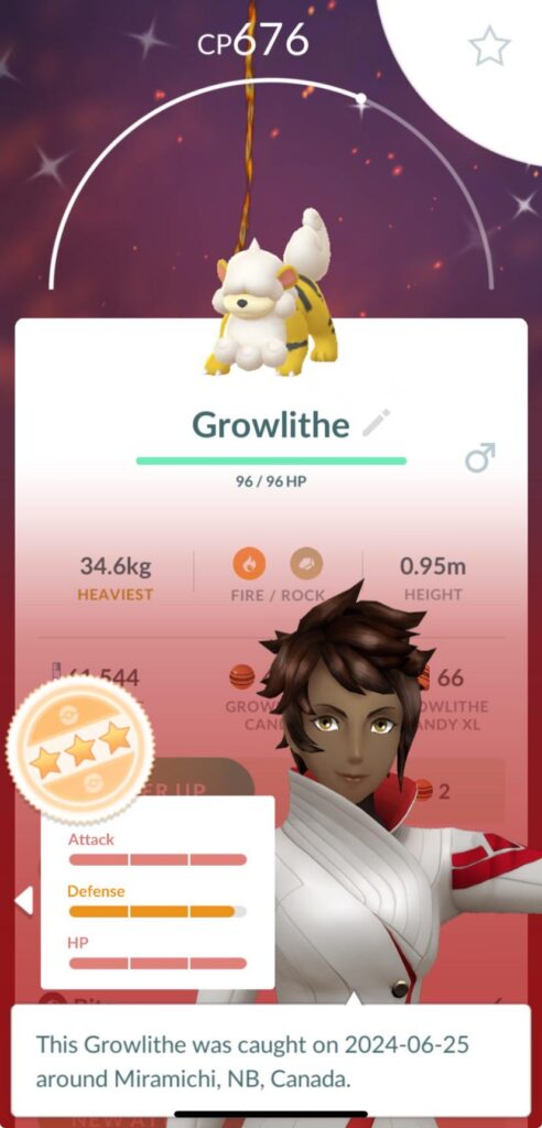 Found a shiny 3 star puppy