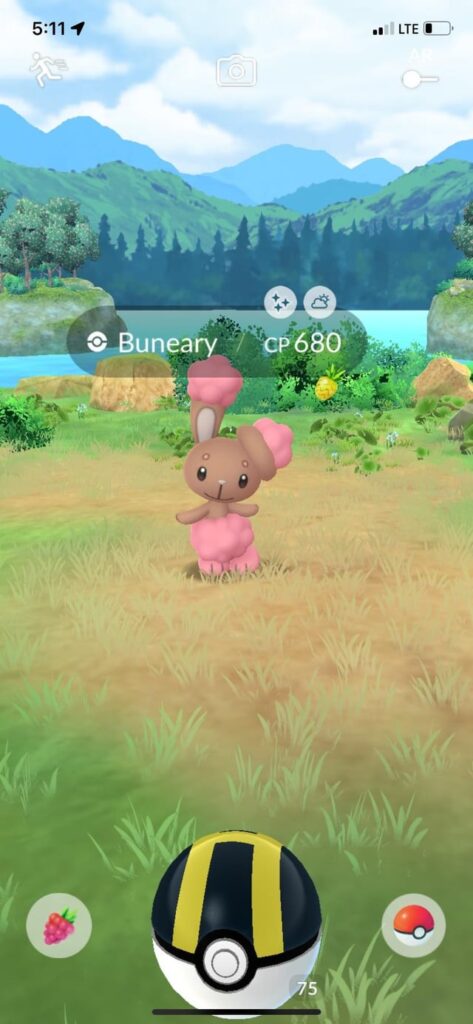 Todays Shiny Bunnies