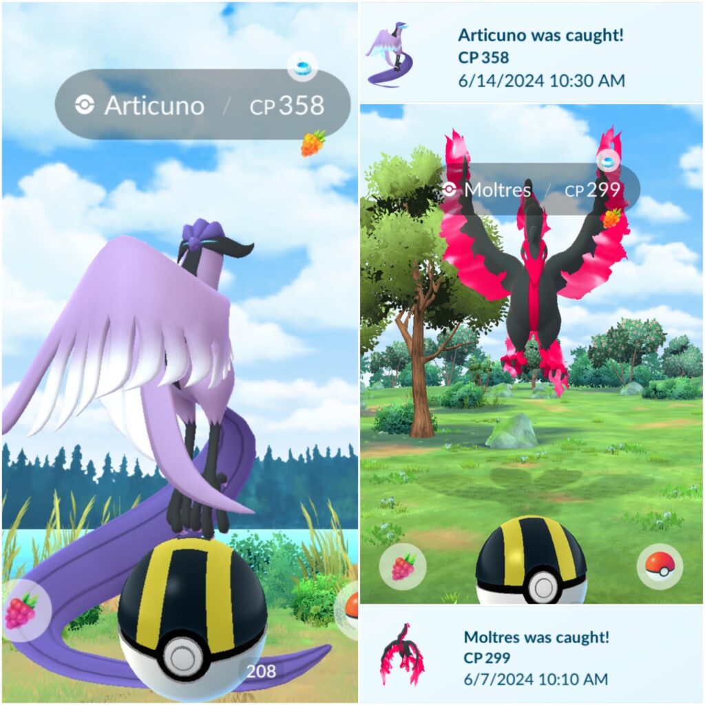 Are the Galarian Birds getting easier to catch? 🤔 I caught these a week apart...