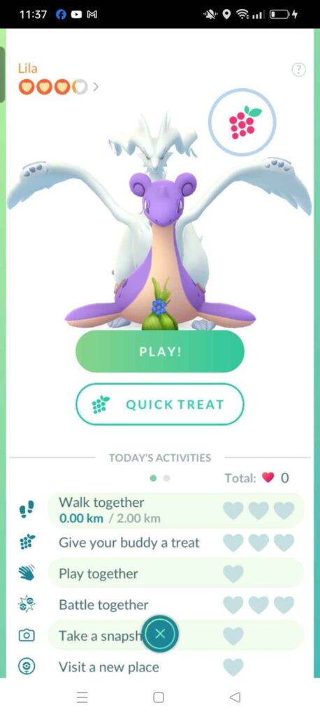 Why is Reshiram overlaying my partner pokemon? I don't even have a Reshiram