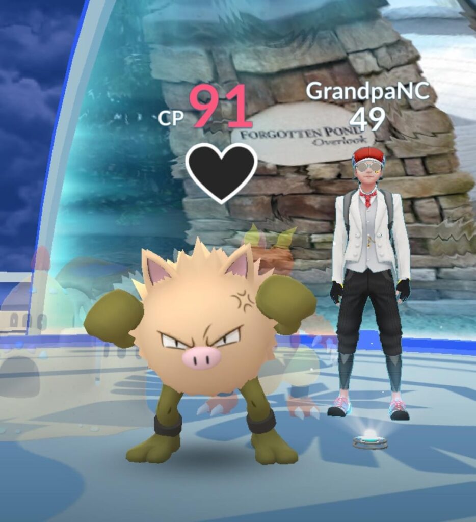 Have noticed these two actively placing their mons in gyms in my neighborhood. Hope I run into them sometime.