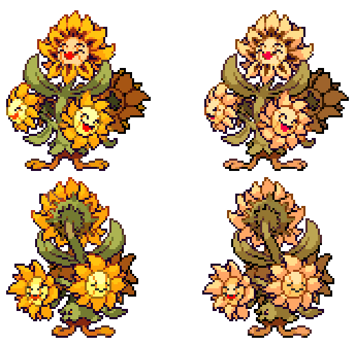 Suncerto, Sunflora's evolution and brutish bouquet