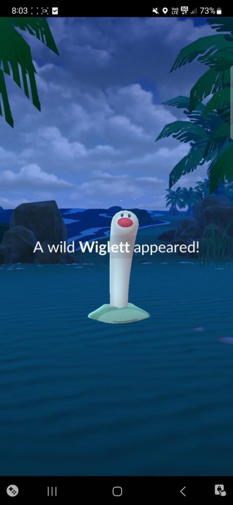 I FINALLY GOT WIGLETT