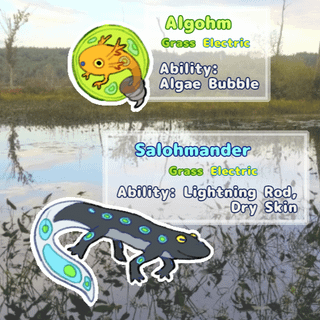 Some 'mons inspired by Salamander Algae/Spotted Salamanders!