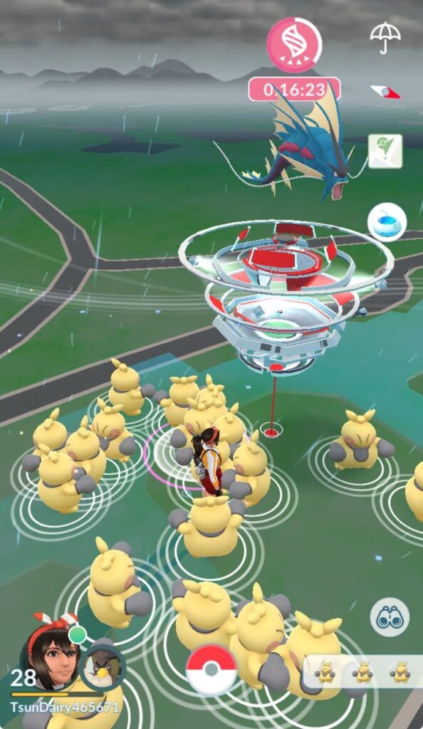 Found this on my Puerto Rico trip