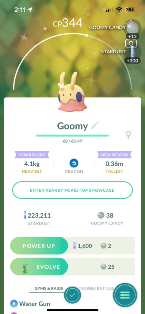 Shiny Goomy Day
