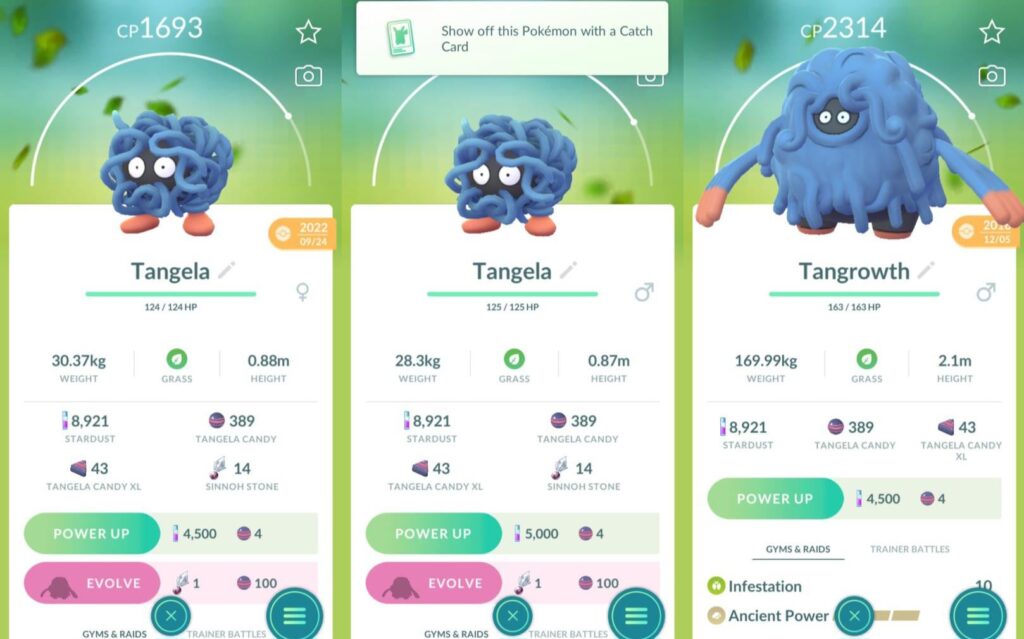 Why does both of my Tangelas have silhouettes when i have a Tangrowth? If it's gender differences shouldn't one of them not be a silhouette?