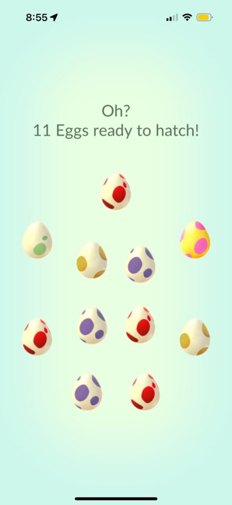 Hmm what could it be…maybe another Larvesta, my first Charcadet, or the ever elusive Frigibix?