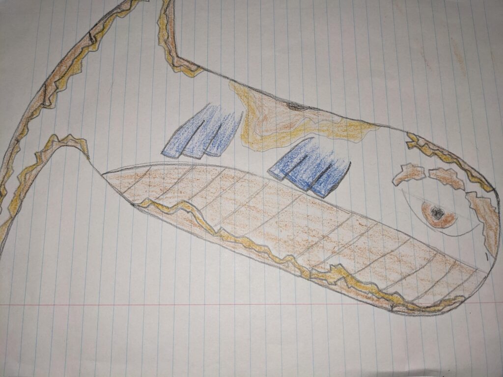 Regional ground type wailord fakemon for my Pokemon Tabletop United game