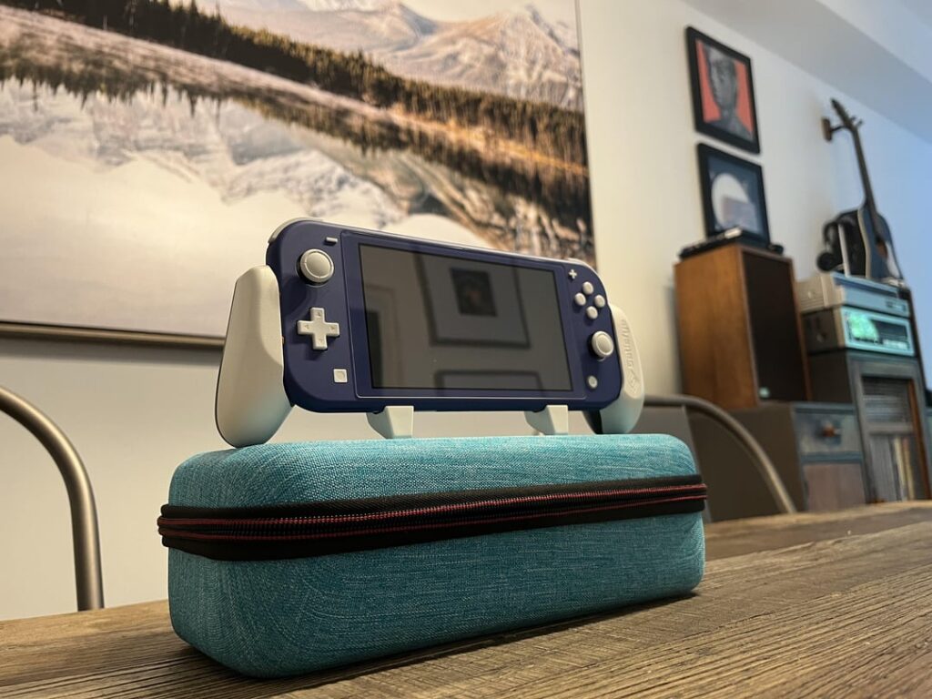 Switch Lite + Satisfye