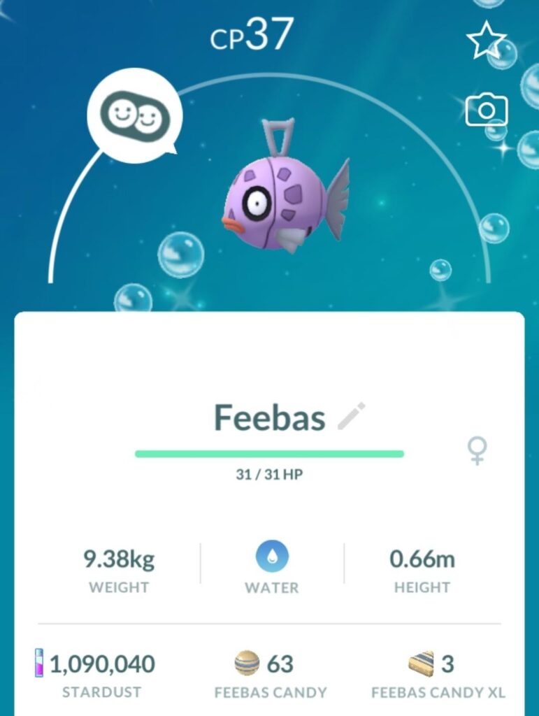 What should I name this doofy little lady?