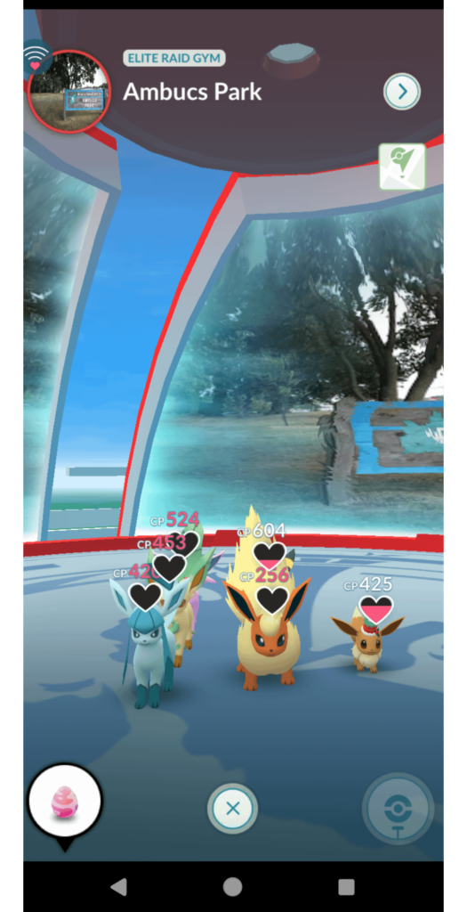A gym full of Eevees 🤩