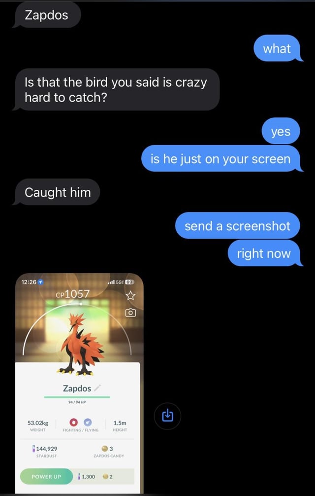 My girlfriend is not impressed with the Galarian Birds