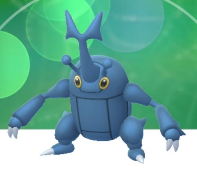 Why are the horns different?