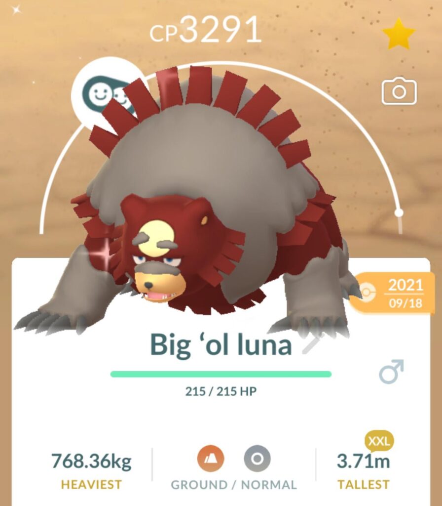 My Ursaluna is unusually large. 😭