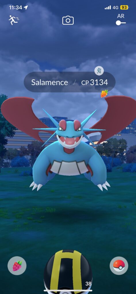 Just ran into this big boy!