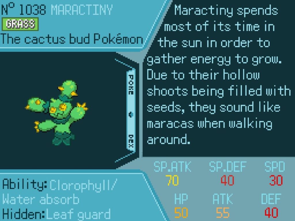 Maractus evolutionary line