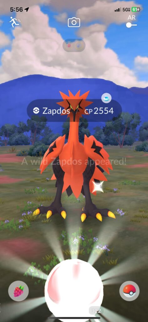 Went on a morning walk. Most beautiful decision.