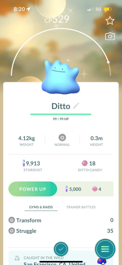 Can’t believe my luck