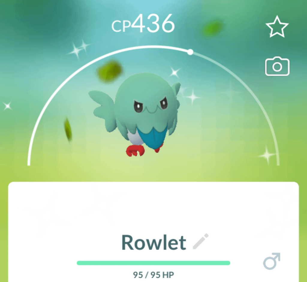 Rowlet is Always Watching You