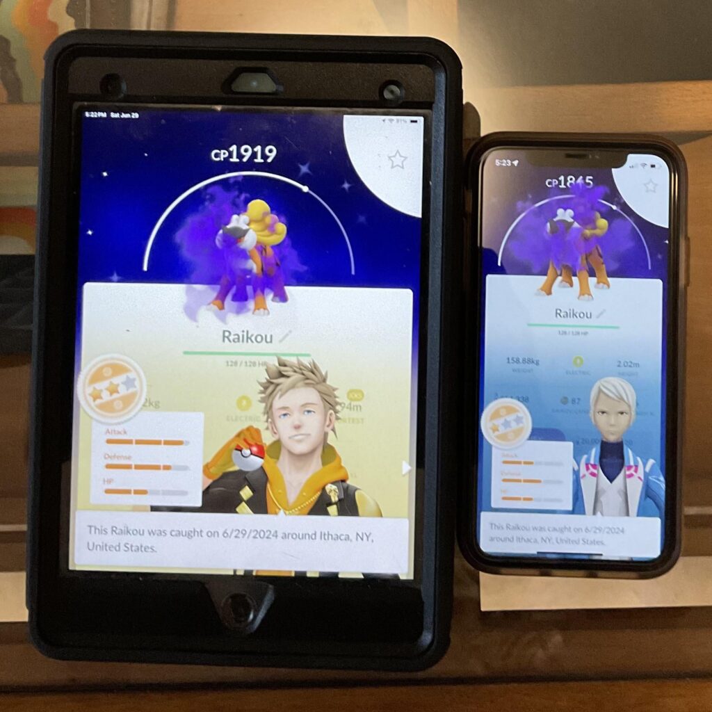 Double shiny shadows!!!